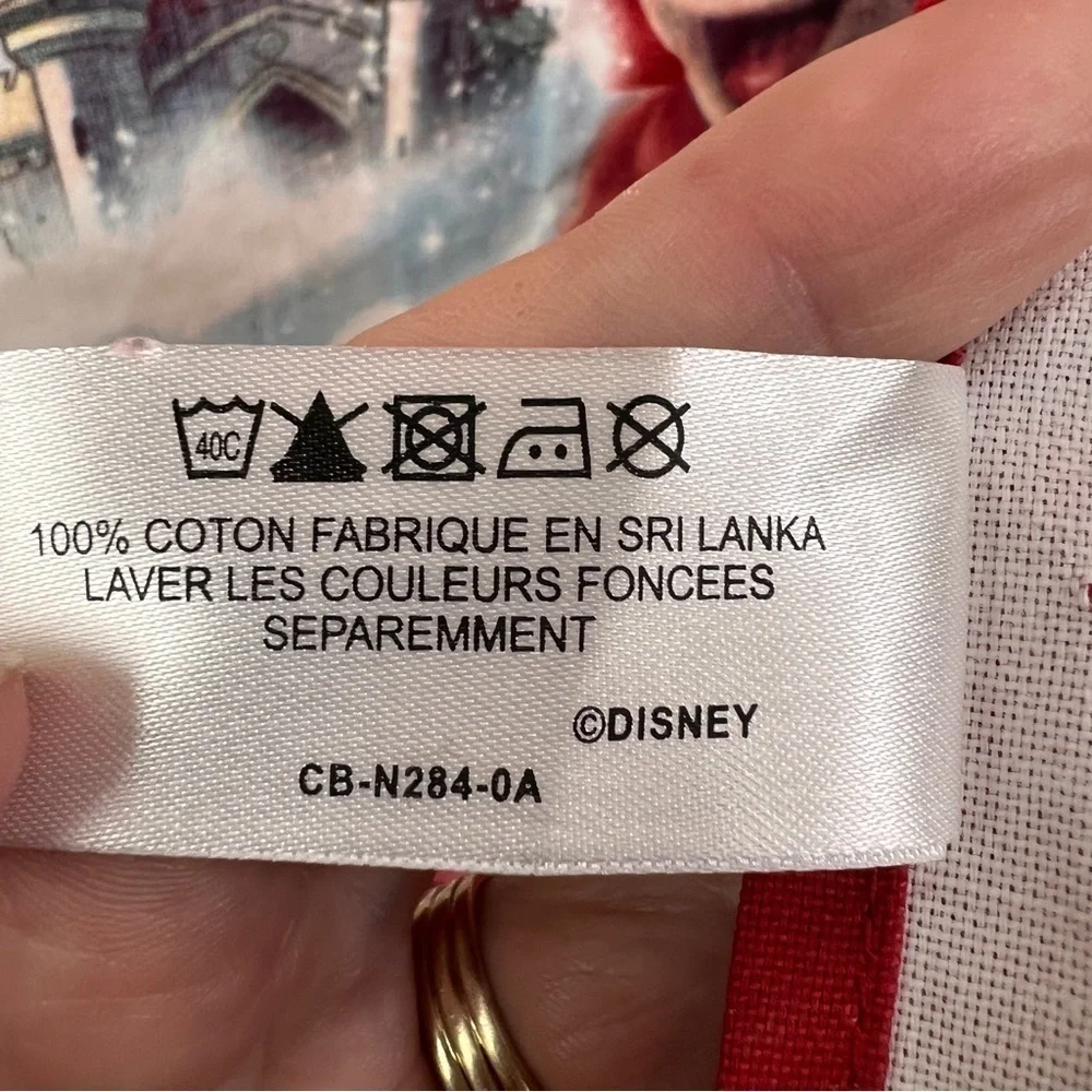 DISNEYLAND PARIS Souvenir Dish Towel.NWT.18”X 29”. Perfect for Disney Collector